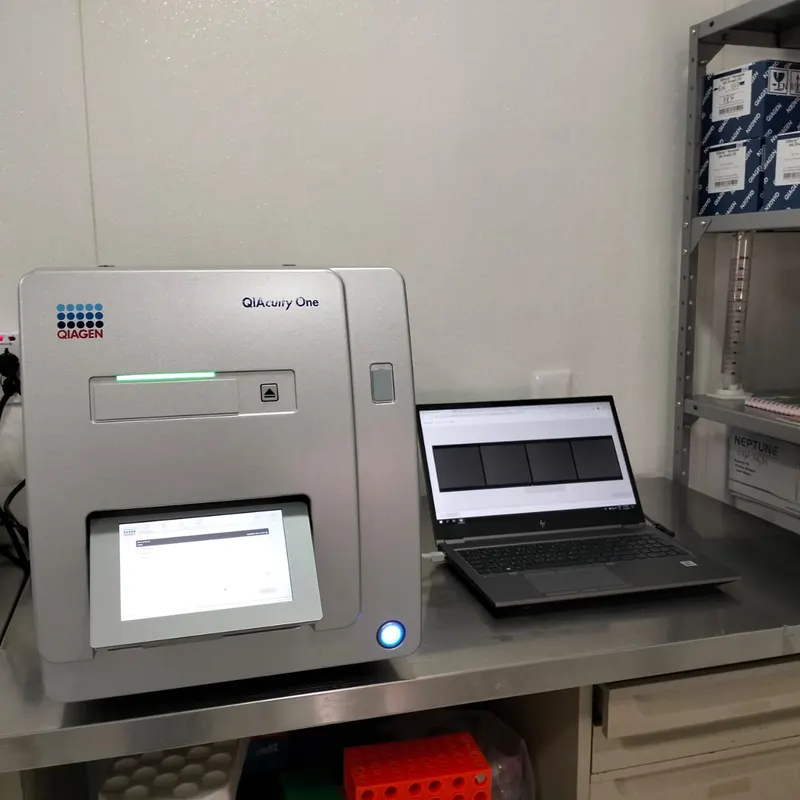 Laboratorio: estación de trabajo 2