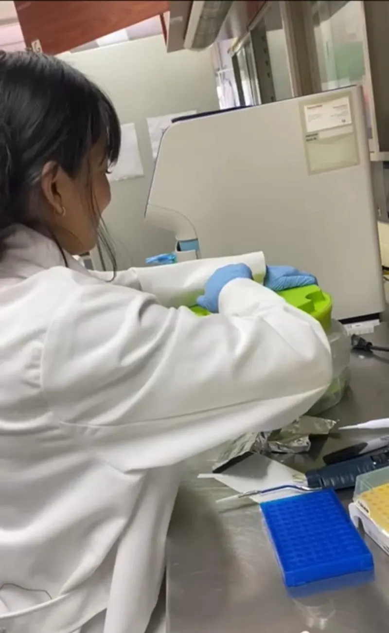 Laboratorio: estación de trabajo 7